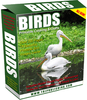 Birds Printable Coloring Book