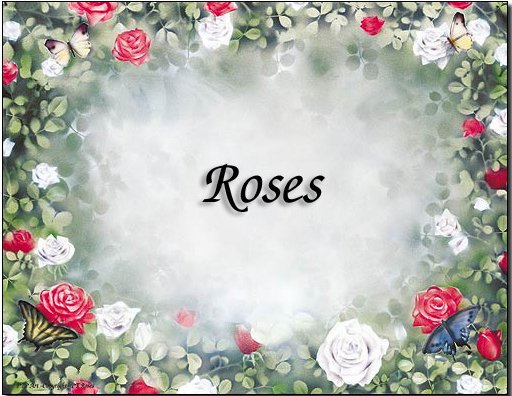 Roses